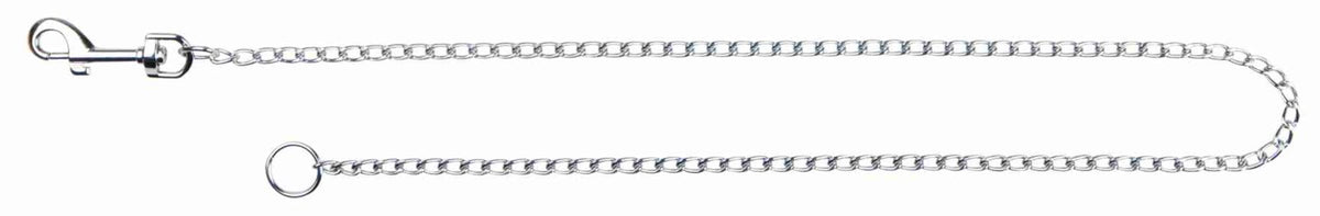 Silberfarbene Metallkette mit einem Karabinerhaken auf der linken und einem Ring auf der rechten Seite.