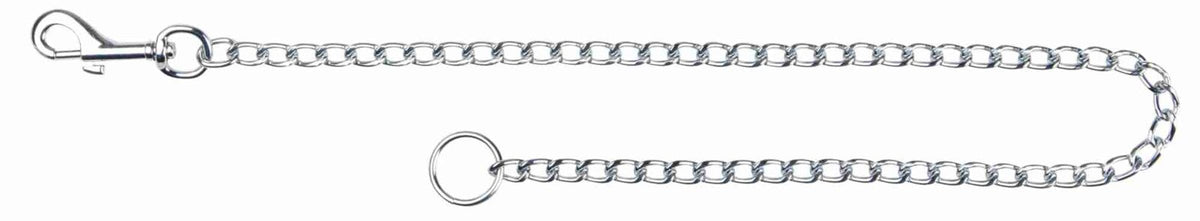 Silberne Kette mit Karabinerhaken und rundem Ring an den Enden auf weißem Hintergrund.