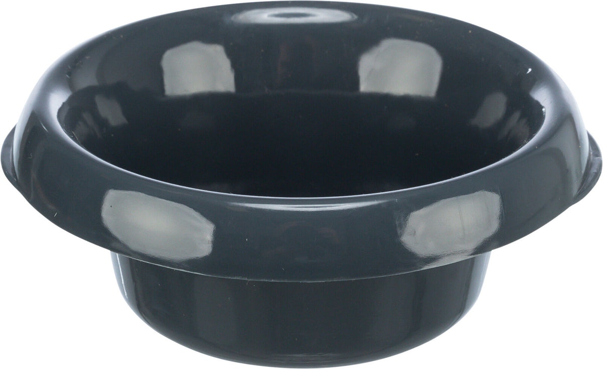 Schwarze, glänzende Schüssel mit breitem Rand und rundem Boden, leere und einfarbige Oberfläche.