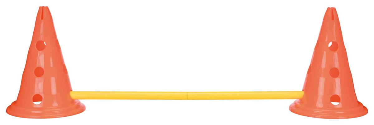 Zwei orange Kegel mit Löchern sind über eine gelbe Stange verbunden, auf weißem Hintergrund.