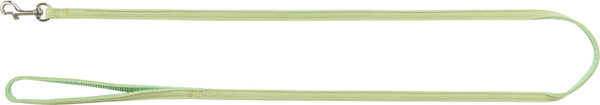 Grüne Hundeleine mit Handschlaufe und silbernem Karabinerhaken, einfach gehaltenes Design.