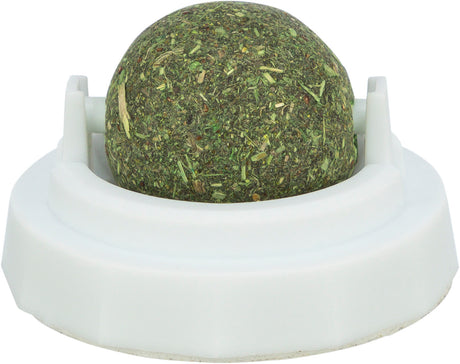 Ein runder, dicht gepackter Ball aus grünem Material liegt in einer weißen, kreisförmigen Halterung.