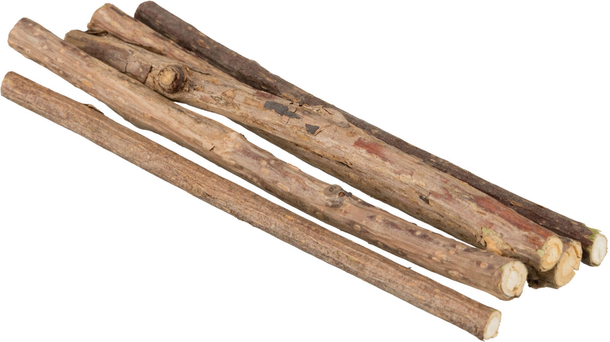Sechs naturbelassene, braune Holzstöcke liegen nebeneinander auf weißem Hintergrund.