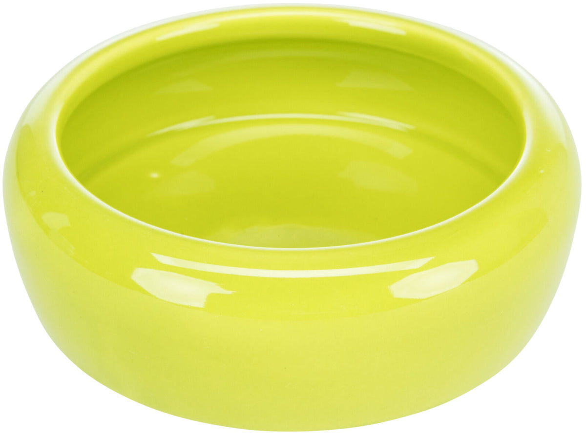 Grüne, runde Schale aus Keramik mit glänzender Oberfläche.