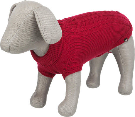 Graues Hundemodell trägt einen gestrickten, roten Pullover mit Zopfmuster.