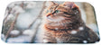 Weiche Decke mit Fotodruck einer Katze im Schnee, die in die Ferne blickt, und unscharfem Hintergrund.
