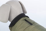 Stofftier in grauer Struktur, trägt eine khakifarbene Hundejacke mit schwarzem Kragen und Reißverschluss.