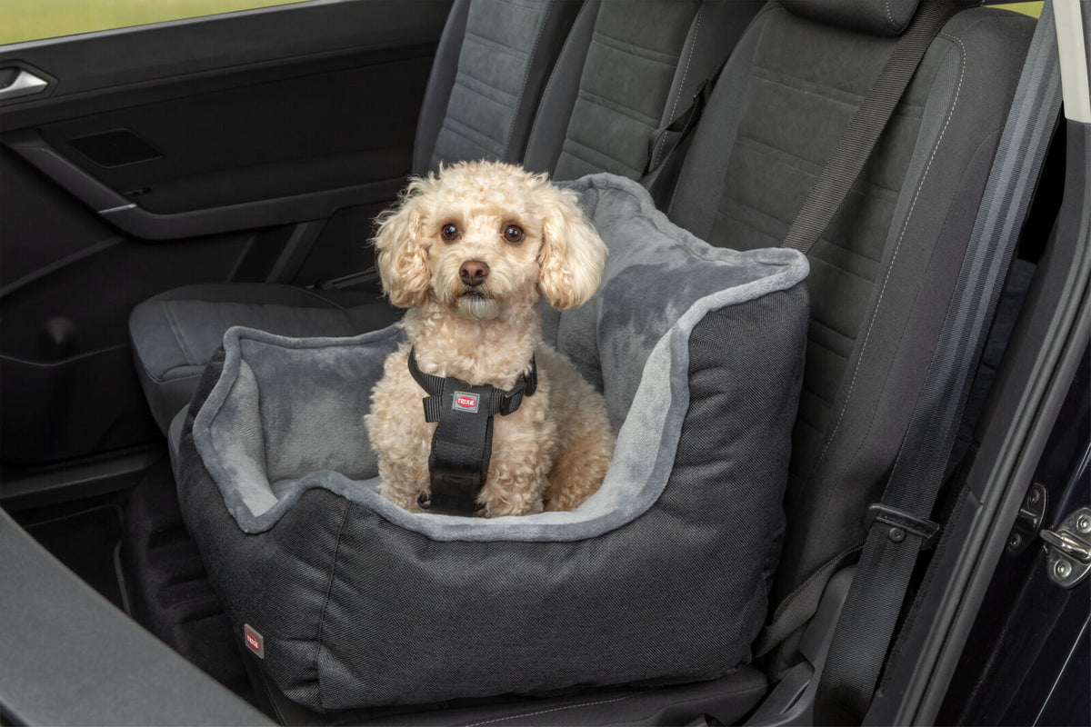 Ein kleiner Hund sitzt in einem grauen Hundesitz auf einem Autositz.