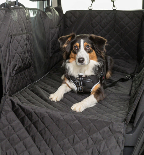 Ein Hund liegt auf einer schwarzen, gesteppten Autoschondecke und trägt ein Geschirr.