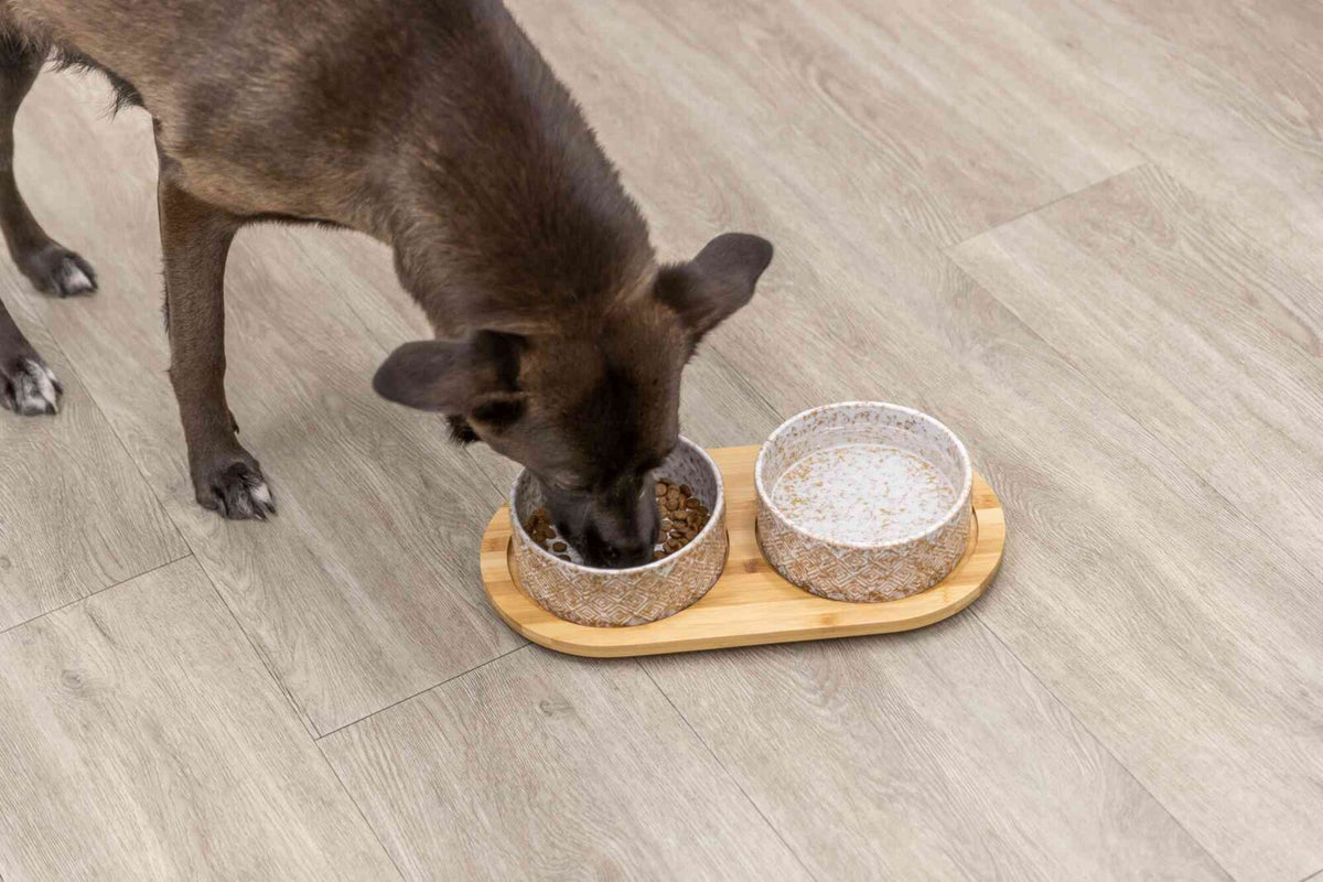 Ein Hund frisst aus einem Napf mit Futter, der auf einem hölzernen Untersetzer neben einem leeren Napf steht.