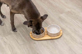 Ein Hund frisst aus einem Napf mit Futter, der auf einem hölzernen Untersetzer neben einem leeren Napf steht.