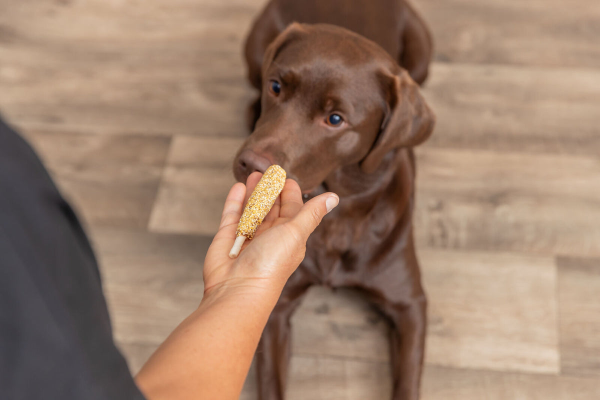 Corn Dogs mit Ente