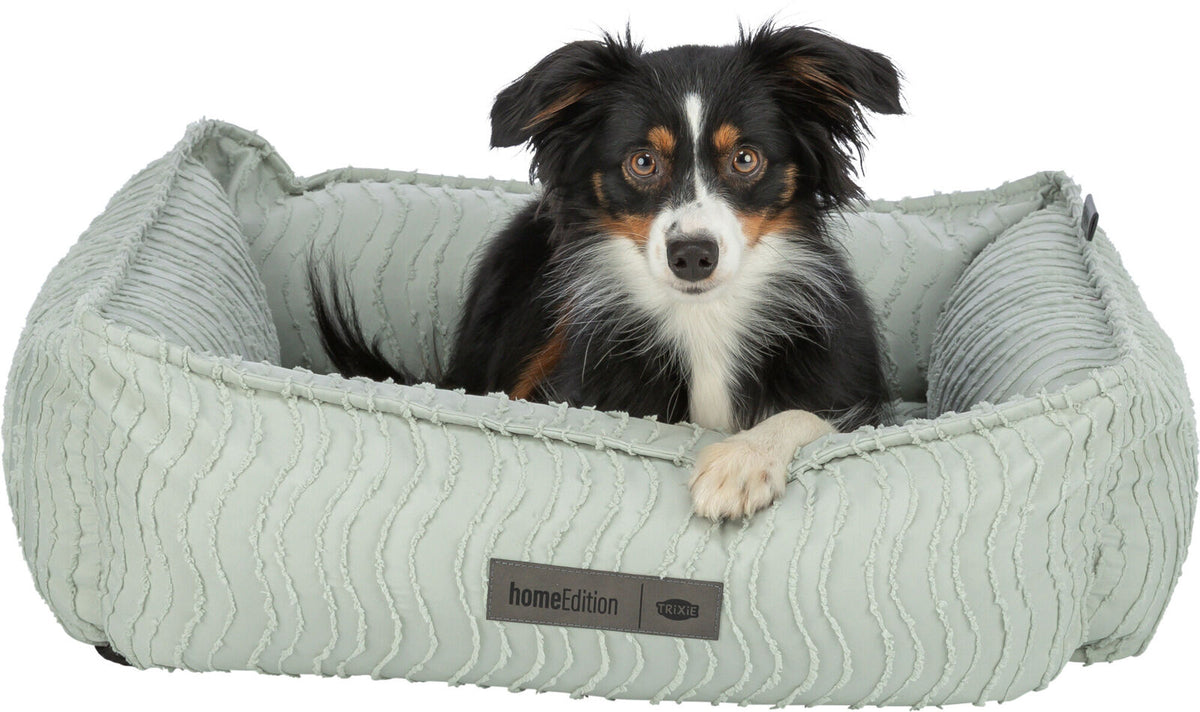 Hund liegt in einem hellen, gerippten Hundebett mit „homeEdition TRIXIE“-Etikett.
