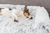 Ein kleiner Hund liegt auf einem weichen, flauschigen, hellgrauen Kissen oder Bett und blickt entspannt zur Seite.