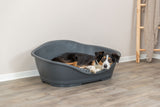 Hund liegt in einem großen, grauen Hundebett auf einem Holzboden neben einer Leiter mit Decke.