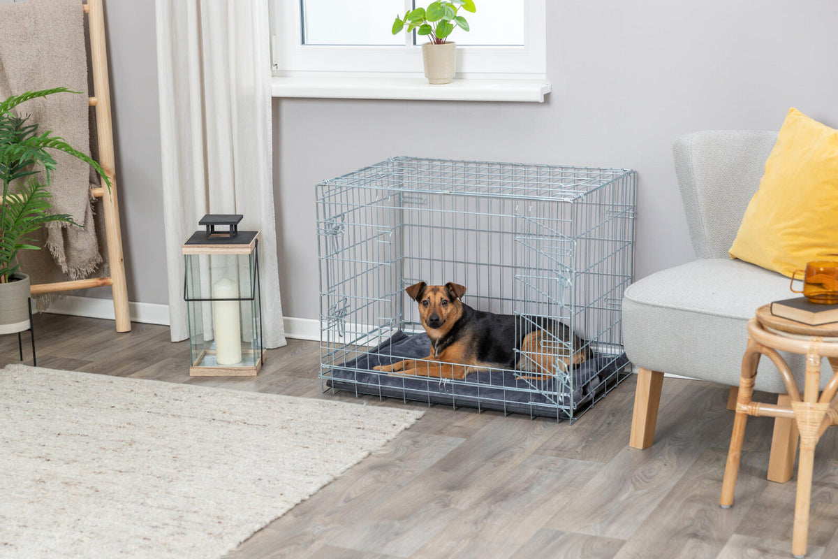 Ein Hund liegt in einem silbernen Metallkäfig auf einem grauen Kissen in einem modernen Wohnzimmer mit Pflanzen und Möbeln.