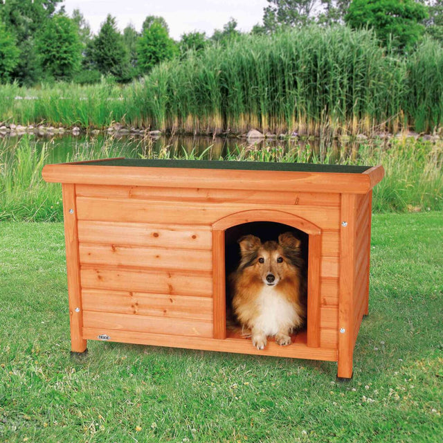Hundehütte aus Holz auf einer grünen Wiese vor einem Teich mit Schilf, ein Hund schaut aus der Öffnung.