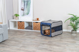 Ein kleiner Hund liegt in einer grauen, faltbaren Transportbox in einem hellen Raum mit Holzboden und Pflanzen.