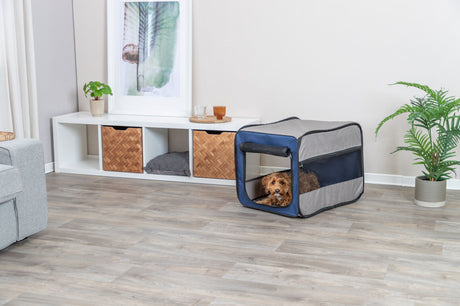 Ein kleiner Hund liegt in einer grauen, faltbaren Transportbox in einem hellen Raum mit Holzboden und Pflanzen.