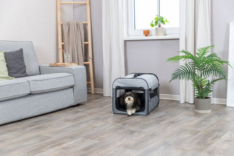 Ein kleiner Hund liegt in einer grauen, tragbaren Transportbox in einem Wohnzimmer mit Sofa, Pflanze und Leiter.