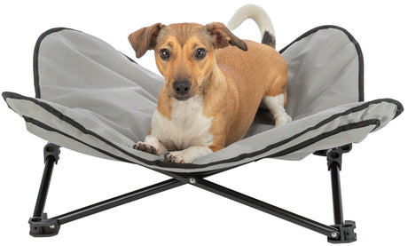 Ein kleiner brauner Hund liegt in einem grauen Hundebett mit schwarzem Rahmen.