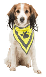 Ein Hund trägt ein leuchtend gelbes Halstuch mit schwarzem Pfotenabdruck auf weißem Hintergrund.
