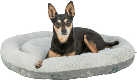 Ein kleiner Hund liegt auf einem runden, grauen Hundebett mit weicher, plüschiger Oberfläche.