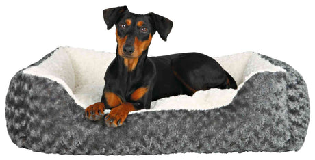 Ein schwarzer Hund liegt in einem grauen, plüschigen Bett mit weißem Innenfutter.