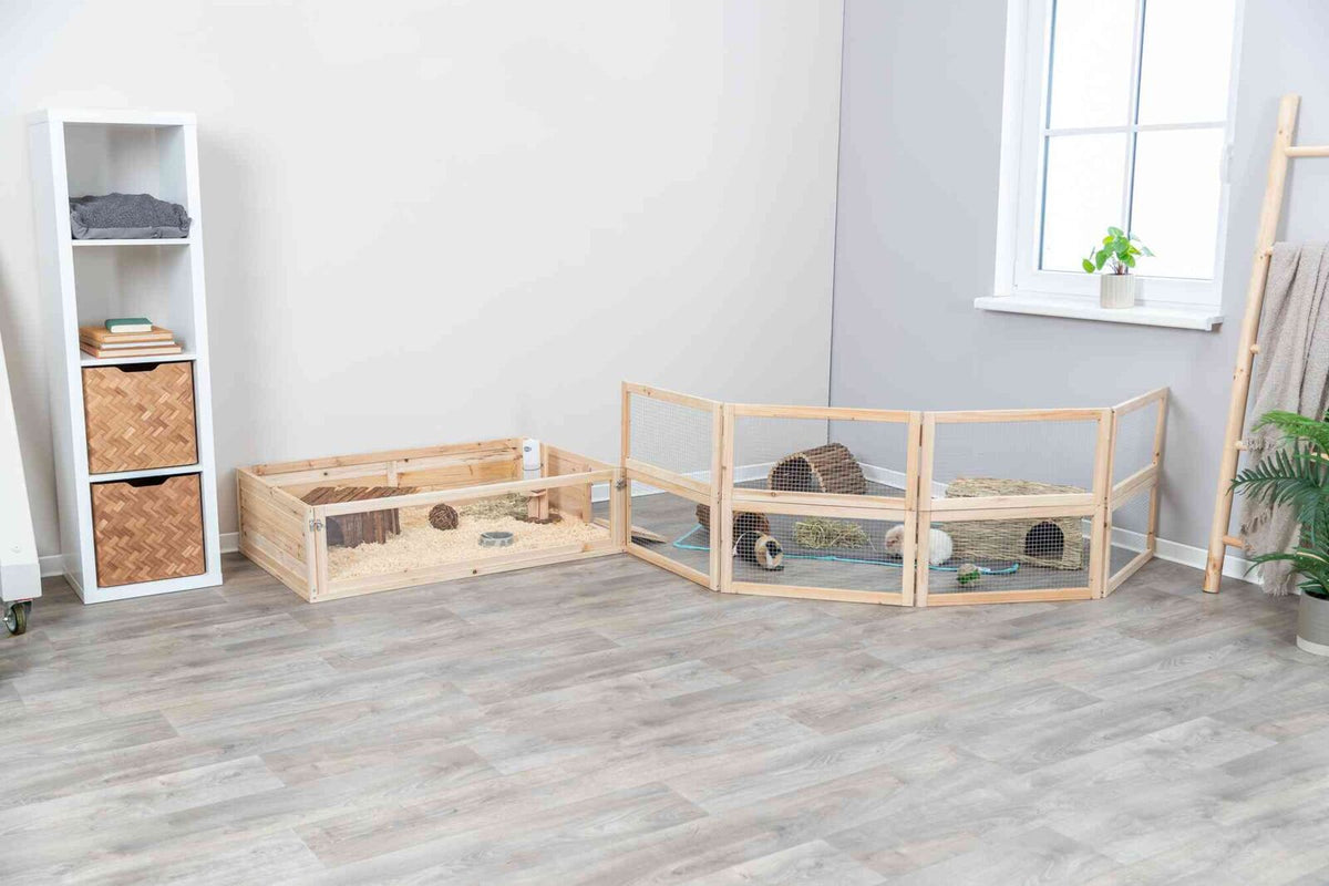 Holzgehege mit zwei Meerschweinchen auf hellem Holzboden, rechts Fenster mit Pflanze, links weißes Regal.
