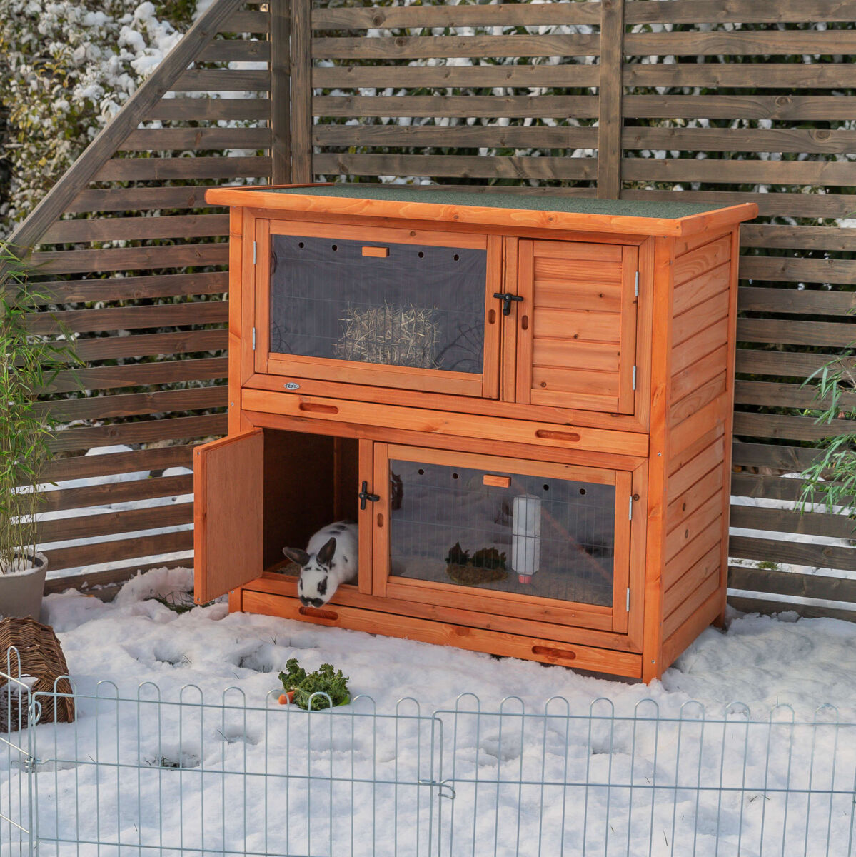 Holzkaninchenstall mit zwei Ebenen und Gittertüren; ein Kaninchen im unteren Bereich; umgeben von Schnee.