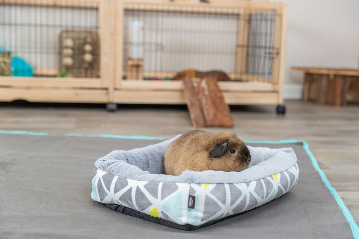 Ein braunes Meerschweinchen sitzt in einem grau-gemusterten Bett auf einem grauen Boden, im Hintergrund ist ein Holzkäfig erkennbar.