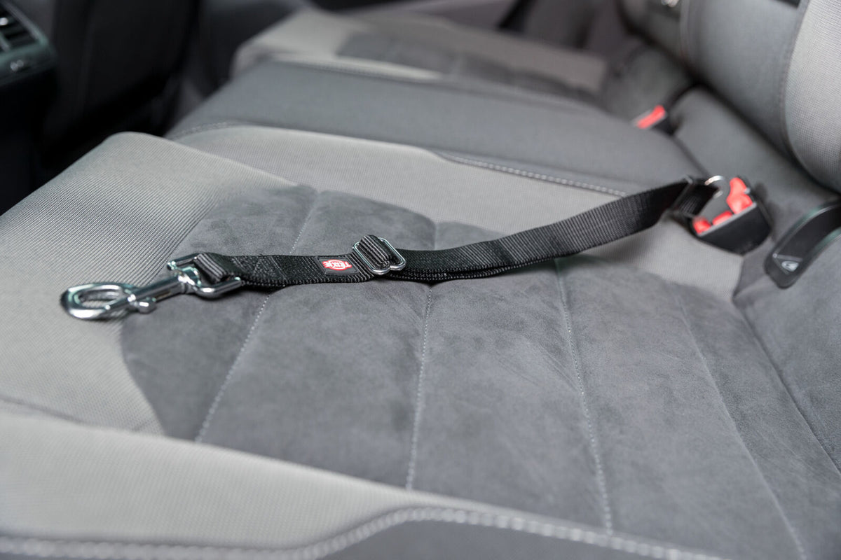 Schwarzer Sicherheitsgurt mit Karabiner auf grauem Autositz, Gurtende an rotem Verschluss befestigt.