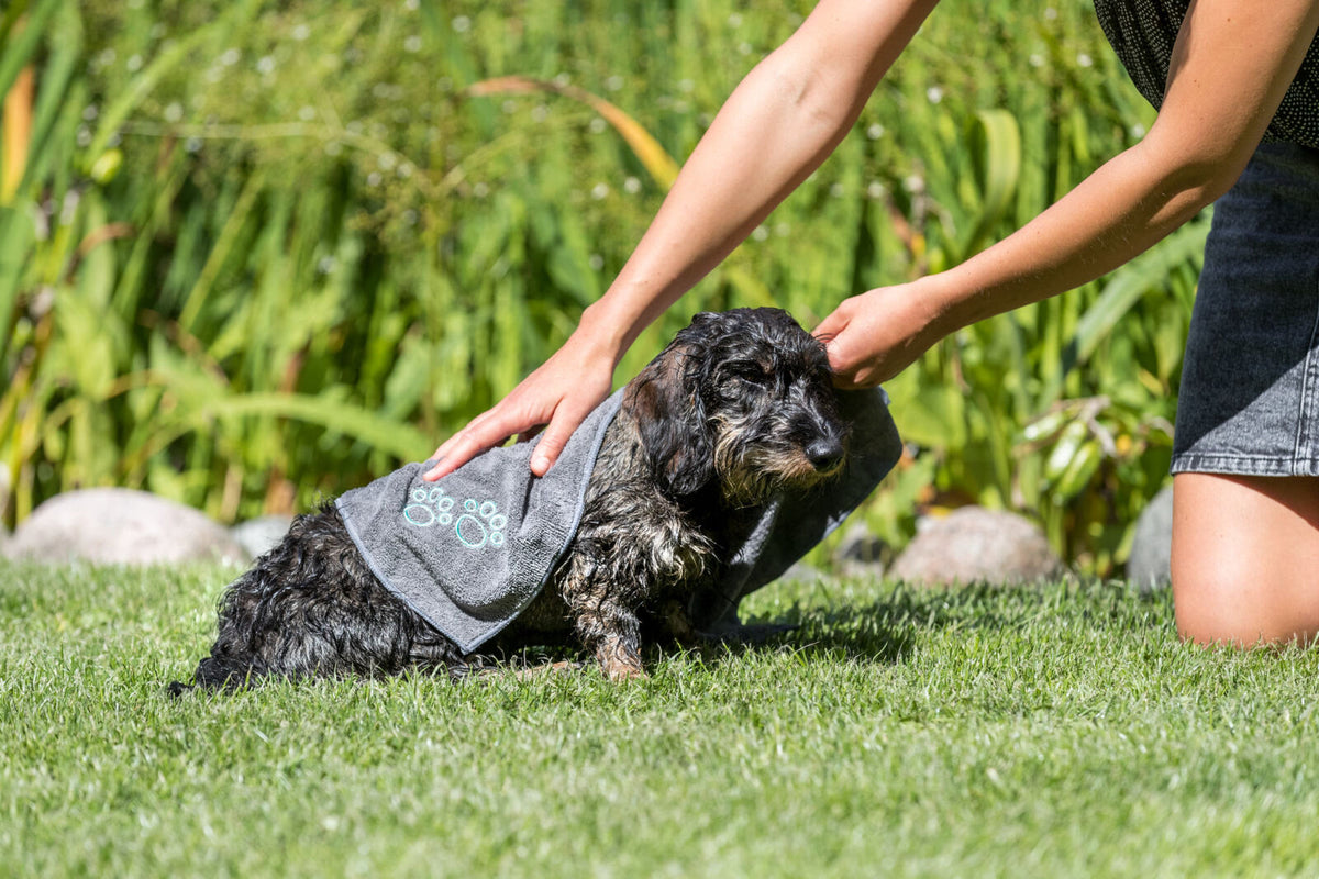 Eine Person trocknet einen nassen Hund mit einem grauen Handtuch mit Pfotenmotiv auf einer Wiese.
